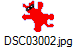 DSC03002.jpg