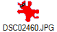DSC02460.JPG