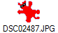 DSC02487.JPG