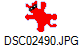 DSC02490.JPG
