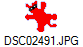 DSC02491.JPG