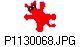 P1130068.JPG