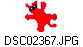 DSC02367.JPG