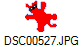 DSC00527.JPG
