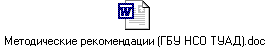 Методические рекомендации (ГБУ НСО ТУАД).doc