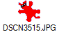 DSCN3515.JPG