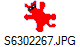 S6302267.JPG